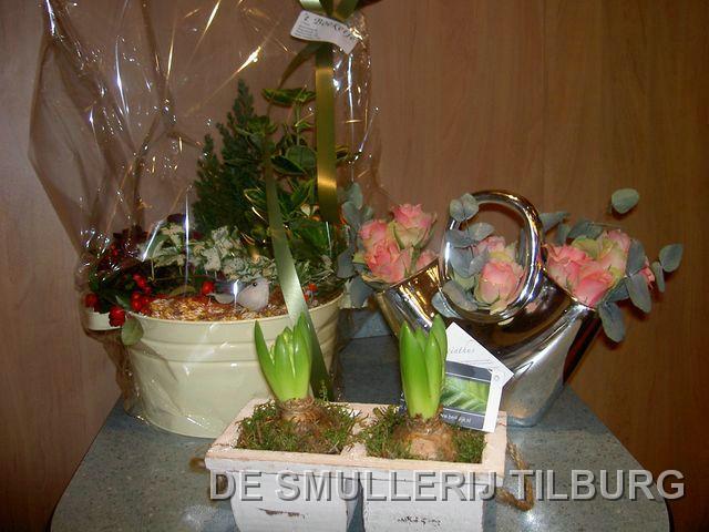 PICT1381.JPG